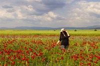 M. Ejder Tebret hüyüklüde_yaz