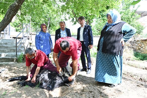 Evlere giderek tek tek kurbanları kestiler