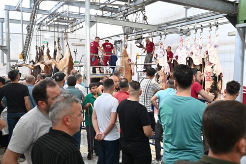 Mezbahada 250 büyükbaş kurban kesimi gerçekleştirildi